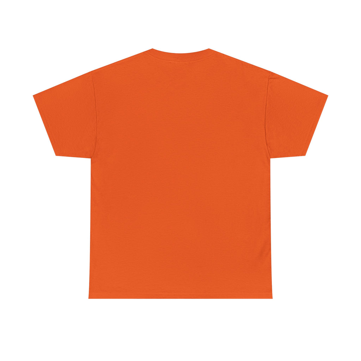 Hippies and Ravins Cotton Tee 1st gen